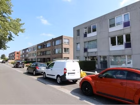 appartement à louer à sint-kruis € 825 (ljmyy) - de brugse databank | zimmo