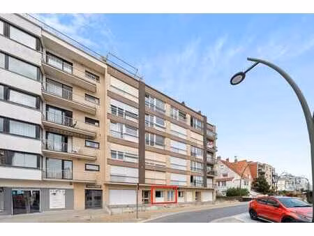 appartement renové à coxyde!