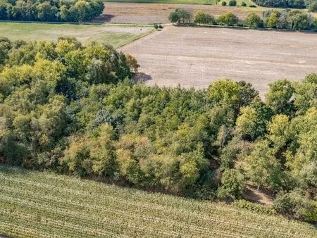 terrain à vendre à wachtebeke € 49.000 (ljmzt) - era thuis (assenede) | zimmo