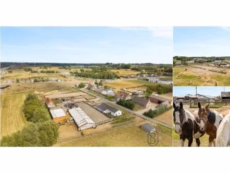 fermette à vendre à leenboslos 2 kruishoutem (rbv03417)