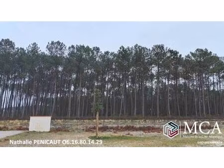 terrain constructible à vendre