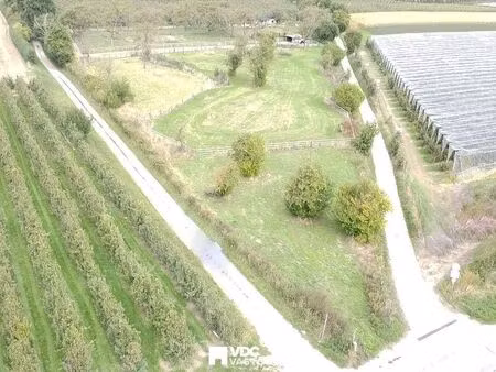 terrain à vendre à wellen € 68.000 (lbl6l) - vdc vastgoed | zimmo