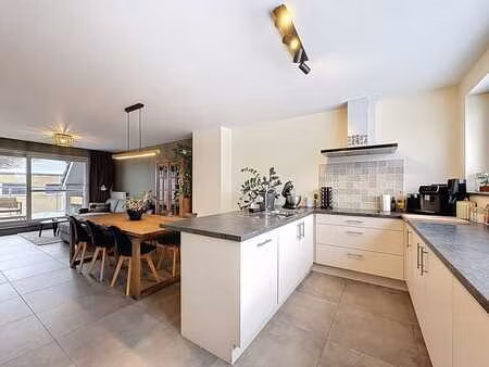 duplex moderne à vendre à denderleeuw
