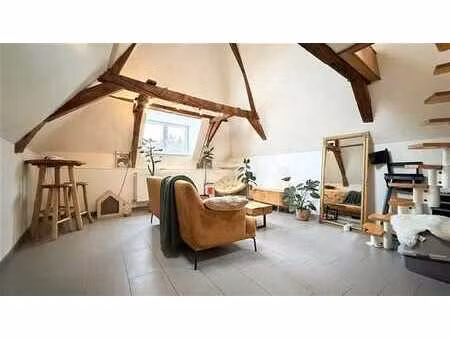 magnifique appartement 2 chambres rénové à tournai