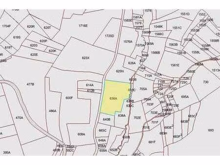 superbe parcelle idéale pour les amateurs de chevaux