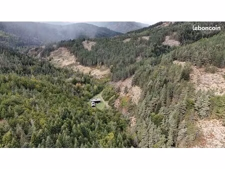 domaine forestier au coeur des cévennes