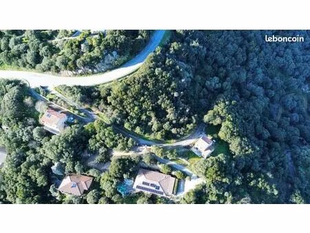 terrain 2 400 m² olmeto