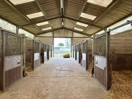 vente maison 21 pièces 540 m² provins (77160)