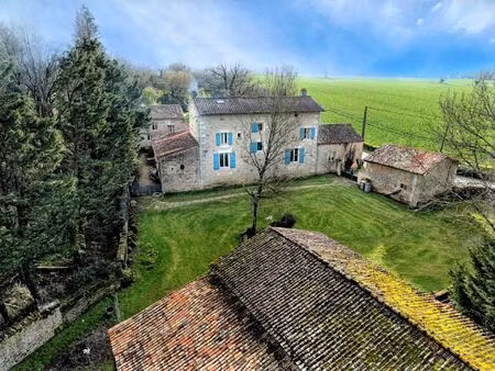 vente maison 8 pièces 211 m² nanteuil (79400)