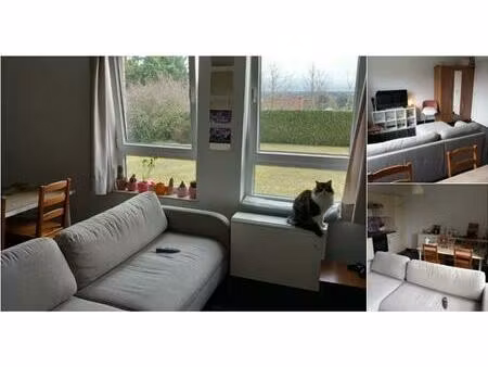 studio à louer avec 1 chambre   mons (vbd73662)