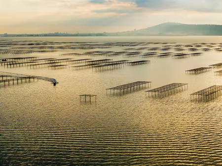 vente appartement 4 pièces 79 m² à sète (34200)  389 900 €