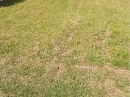 terrain constructible