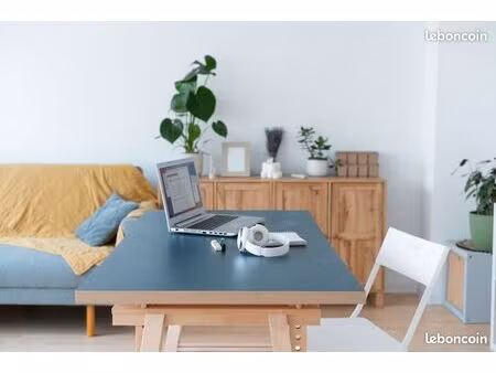 ingénieur en cdi recherche logement t2/t3 lyon & alentours