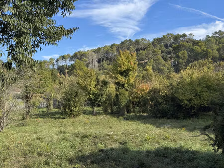 vente terrain 540 m² puget-ville (83390)