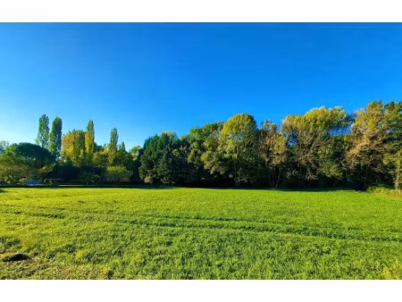 vente terrain 2088 m² à ceaux-en-couhé (86700)  45 936 €