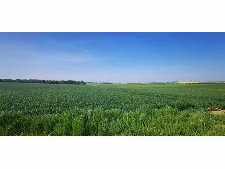 vente terrain 984 m² à falaise (14700)  45 961 €