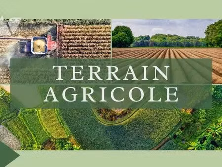 vente terrain 5014 m² à laroque-des-albères (66740)  9 500 €