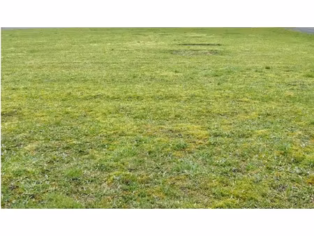 vente terrain 649 m² à passais villages (61350)  6 490 €