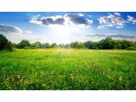 vente terrain 564 m² à severac (44530)  47 000 €