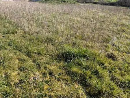 vente terrain 599 m² à jaunay-clan (86130)  46 900 €