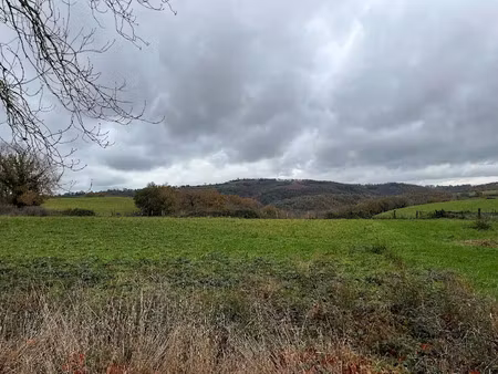 vente terrain 1200 m² à pampelonne (81190)  25 000 €