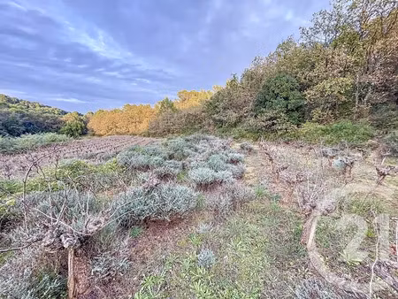 vente terrain 19970 m² à saint-nazaire (30200)  19 000 €