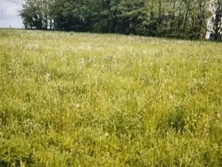 vente terrain 870 m² à charroux (86250)  10 000 €