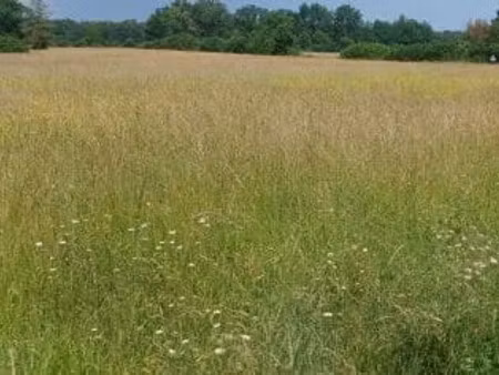 vente terrain 407 m² à vendeuvre-du-poitou (86380)  30 950 €