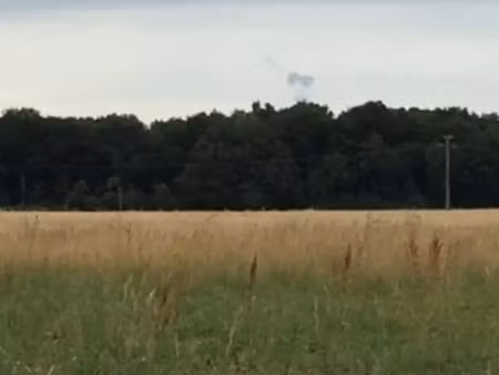 vente terrain 41900 m² à vouille (86190)  41 900 €