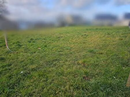 vente terrain à yffiniac (22120) : à vendre / 466m² yffiniac