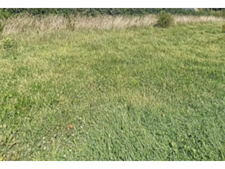 vente terrain à plomelin (29700) : à vendre / plomelin