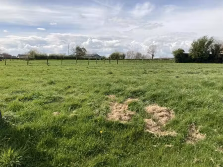 vente terrain 813 m² à blairville (62173)  36 203 €