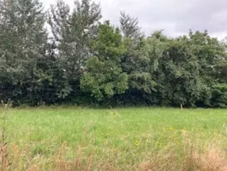 vente terrain 509 m² à vouille (86190)  38 900 €