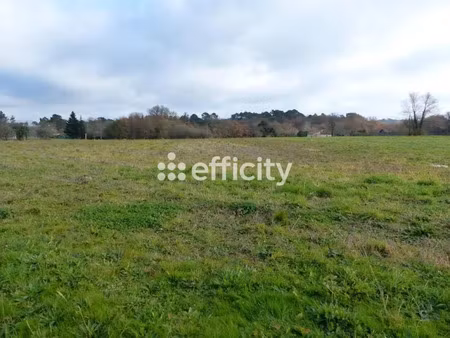 vente terrain 2542 m² à saint-gery (24400)  37 400 €