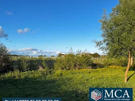 vente terrain 700 m² à néac (33500)  75 000 €