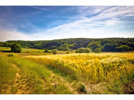 vente terrain 445 m² à avrille (85440)  57 902 €