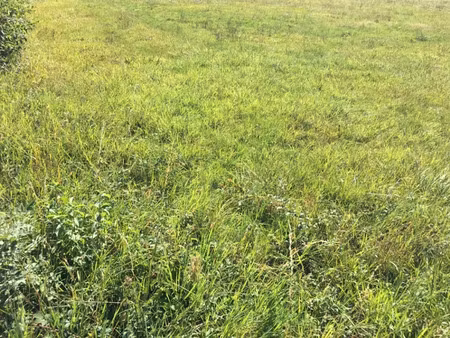 vente terrain 715 m² à grièges (01290)  75 000 €