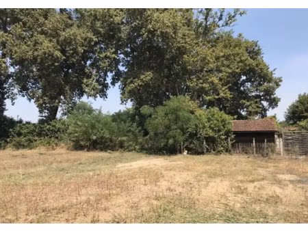 vente terrain 600 m² à langon (33210)  75 000 €