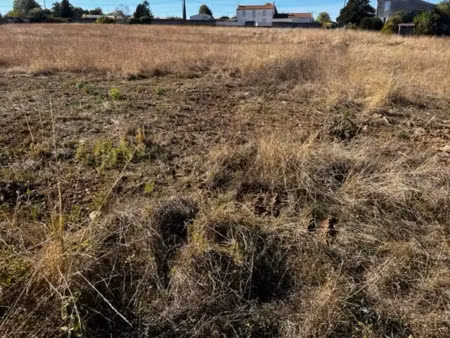 vente terrain 632 m² à cognac (16100)  60 000 €