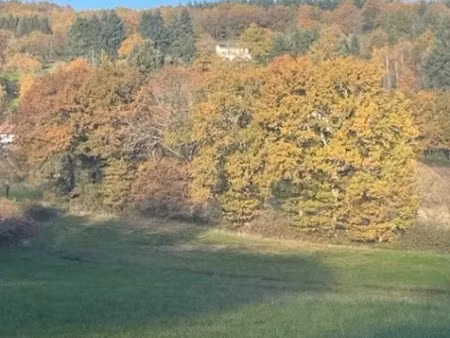 vente terrain 2200 m² à saint-junien (87200)  57 000 €