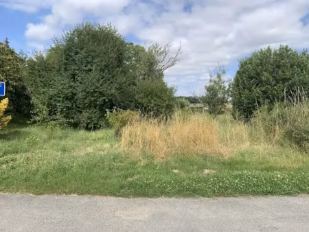 vente terrain 2309 m² à la clisse (17600)  55 000 €