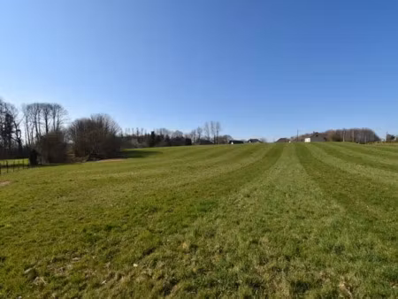 vente terrain 12800 m² à saint-sornin-lavolps (19230)  56 000 €