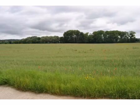 vente terrain à batir 500 m² à ribécourt-dreslincourt (60170)  70 000 €