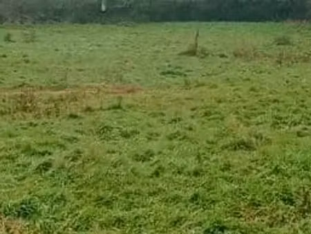 vente terrain 340 m² à la plaine-sur-mer (44770)  150 000 €