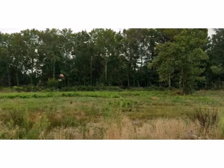 vente terrain 873 m² à saint-aubin-de-médoc (33160)  315 000 €