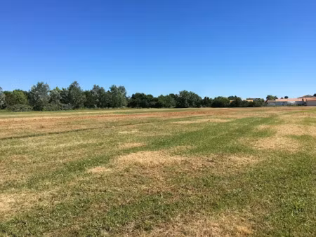 vente terrain 277 m² à villedoux (17230)  91 500 €