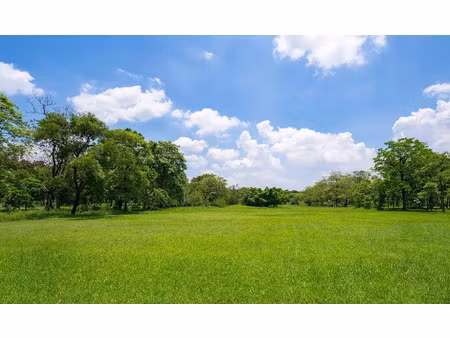 vente terrain 430 m² à saint-andré-de-cubzac (33240)  85 000 €