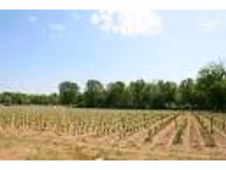 vente terrain 515 m² à cérons (33720)  116 000 €