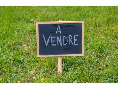 vente terrain 350 m² à sénas (13560)  154 900 €