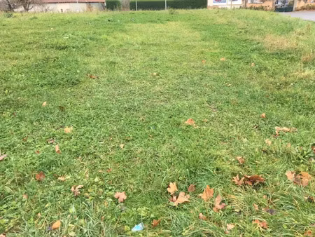 vente terrain 2950 m² à dompierre-sur-veyle (01240)  170 000 €